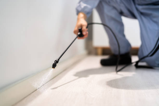 Licensed Mosquito Control service in DuPont, WA - Show Me Pest Control