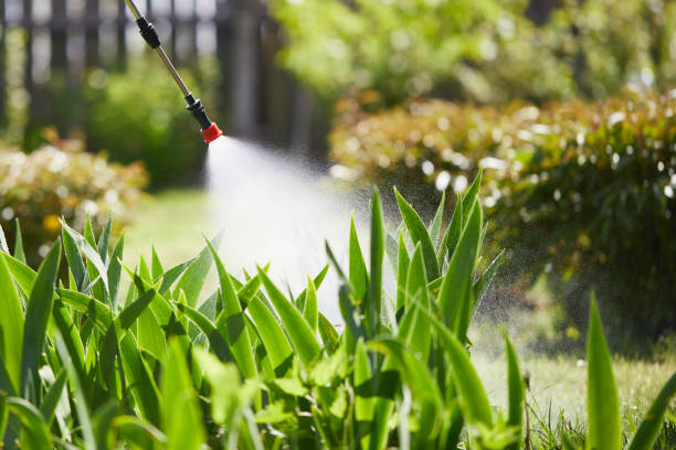 24/7 Emergency Mosquito Control experts in DuPont, WA