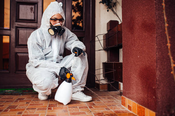 Reliable Mosquito Control contractor in DuPont, WA by Show Me Pest Control