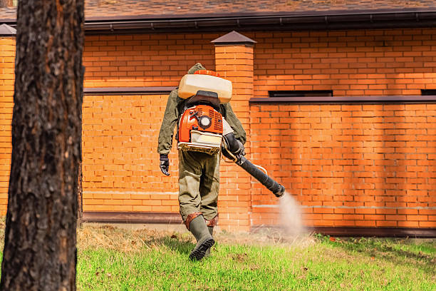 Top rated local Mosquito Control specialists in DuPont, WA